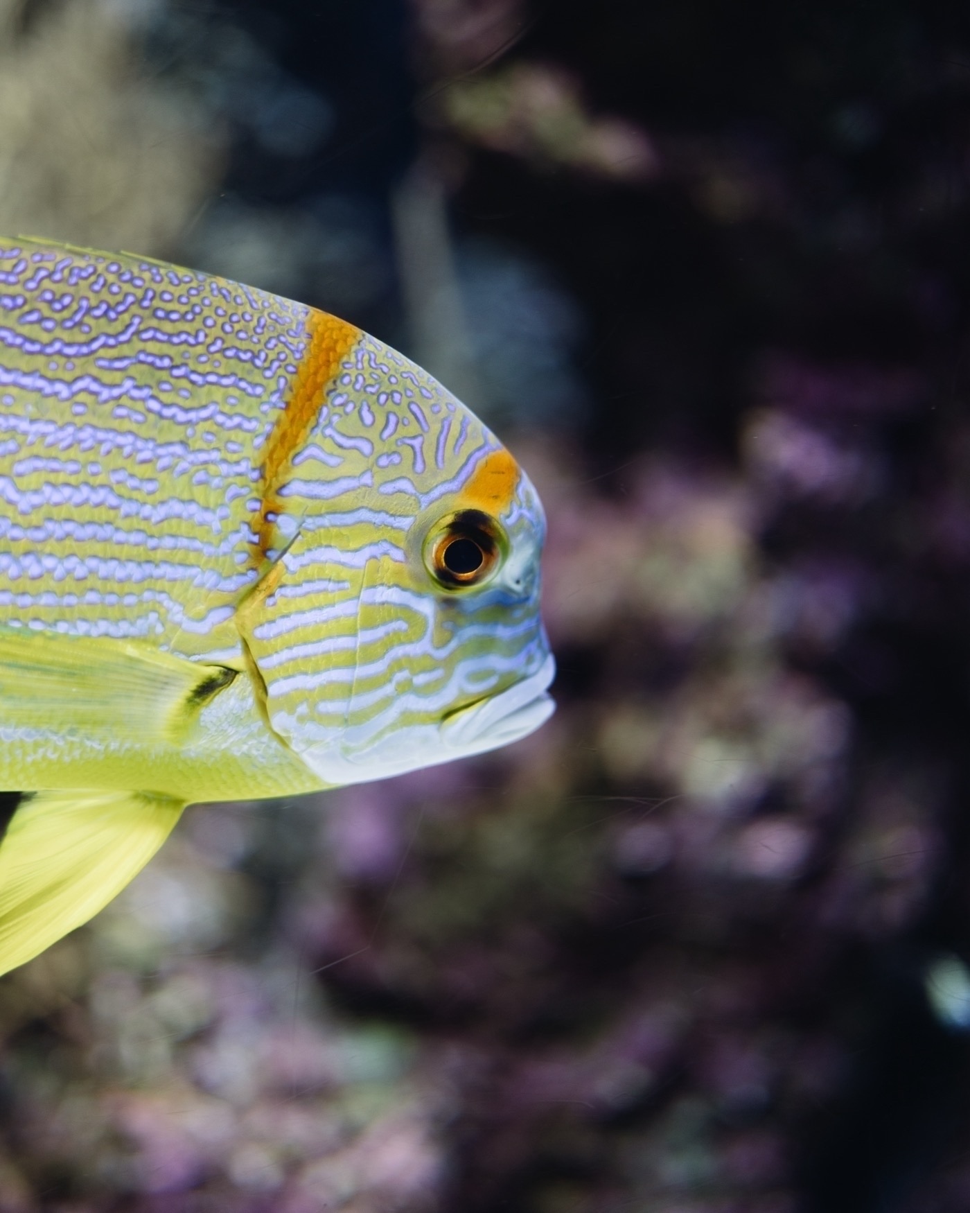 Frames from Singapore from the Withers trip 2023