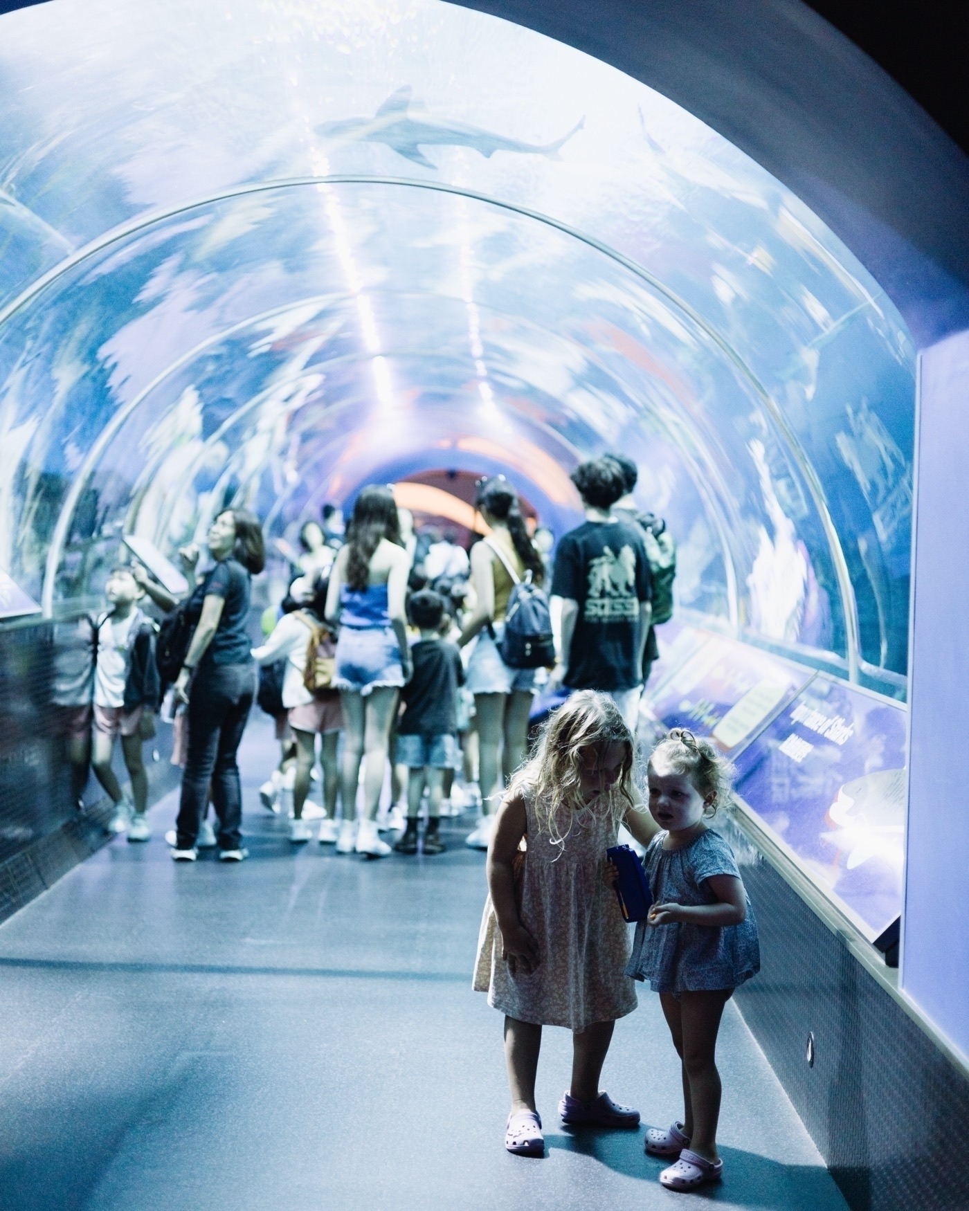 Frames from Singapore from the Withers trip 2023